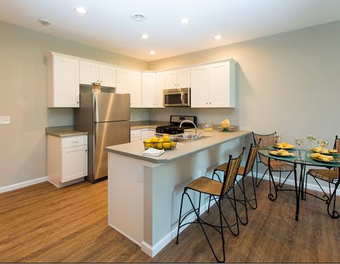 European Kitchen featuring Abundant Cabinets, Stainless Steel Appliances including Microwave and Dishwasher. - The Meadows at Stonebrook Village 55+