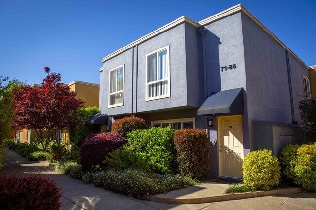 Building Photo - Palm Terrace