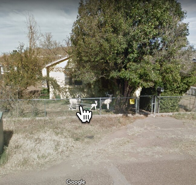 Foto del edificio - 1307 East Ave H