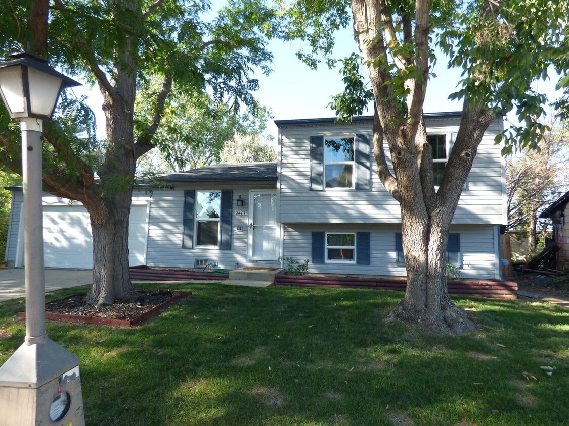 Foto principal - Tri-Level Home in North Longmont