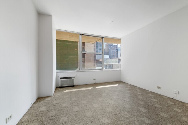 Building Photo - 1000 N Lake Shore Dr.