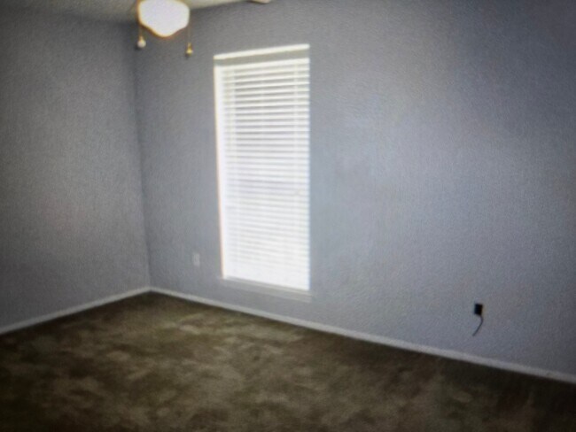 Building Photo - 4356 Stumberg Ln