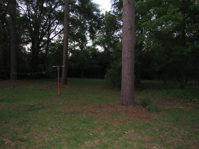 Backyard - 828 Oak Ridge Dr