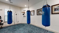 This single-room boxing and fitness space is thoughtfully designed for combat sports training and general conditioning. The room is finished with crisp white walls and a rich, textured teal carpet that provides cushioning underfoot and defines the training area. Recessed lighting illuminates the space evenly throughout, complementing the natural light that enters through a window fitted with horizontal blinds.

Two Balazs heavy punching bags hang from ceiling-mounted chain anchors, offering dedicated striking stations within the room. A wall-mounted speed bag platform provides an additional training option for hand speed and coordination work. Resistance cables are anchored to the wall, enabling a range of strength and mobility exercises. A freestanding rack holds an organized selection of dumbbells and weighted gloves, adding versatility to workouts.

A large interior window runs along one wall, overlooking an adjacent room and creating a sense of openness while connecting the space visually to the rest of the property. Framed black-and-white boxing photography decorates the walls, reinforcing the room's athletic theme and adding a curated, purposeful aesthetic. A glass-paned door provides access to the adjoining area. The overall ambiance is focused and functional, purpose-built for serious training in a private, well-appointed setting.
