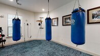 This single-room boxing and fitness space is thoughtfully designed for combat sports training and general conditioning. The room is finished with crisp white walls and a rich, textured teal carpet that provides cushioning underfoot and defines the training area. Recessed lighting illuminates the space evenly throughout, complementing the natural light that enters through a window fitted with horizontal blinds.

Two Balazs heavy punching bags hang from ceiling-mounted chain anchors, offering dedicated striking stations within the room. A wall-mounted speed bag platform provides an additional training option for hand speed and coordination work. Resistance cables are anchored to the wall, enabling a range of strength and mobility exercises. A freestanding rack holds an organized selection of dumbbells and weighted gloves, adding versatility to workouts.

A large interior window runs along one wall, overlooking an adjacent room and creating a sense of openness while connecting the space visually to the rest of the property. Framed black-and-white boxing photography decorates the walls, reinforcing the room's athletic theme and adding a curated, purposeful aesthetic. A glass-paned door provides access to the adjoining area. The overall ambiance is focused and functional, purpose-built for serious training in a private, well-appointed setting.