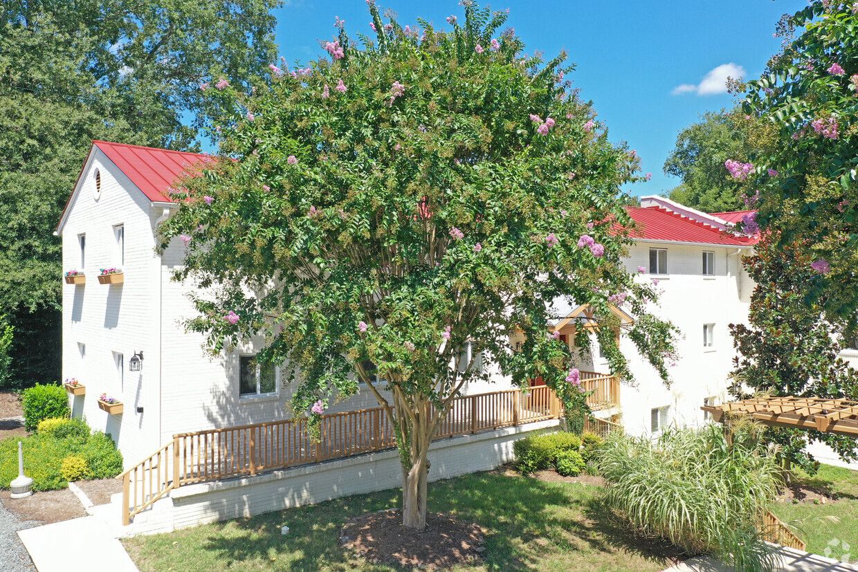 Primary Photo - The Wilson Apartments