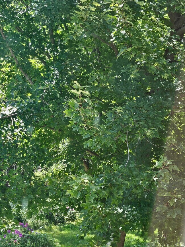 Foto del edificio - N5071 Sunset Vista Rd