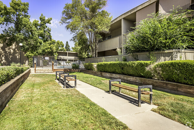 Courtyard - Amber Grove