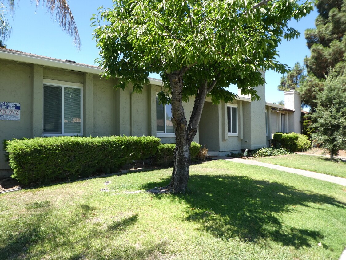 Primary Photo - 1539 Moorpark Ave