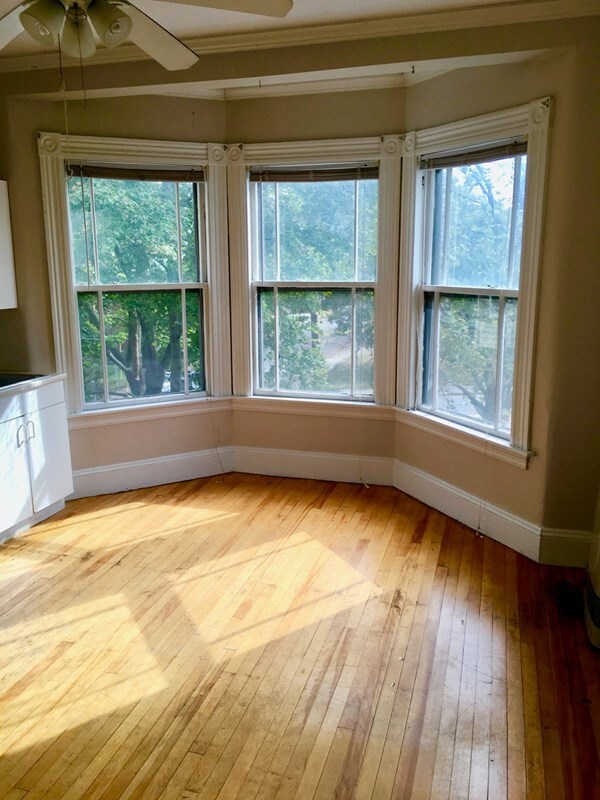 Primary Photo - 223 Woodford St