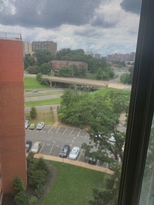 West View from unit - 1111 Arlington Blvd Apartment
