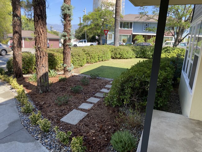 Side Yard - 178 Cedar Crest Ave