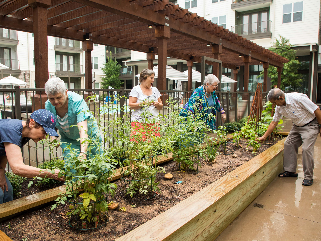 Garden Club - Overture Fairview 55+ Active Adult Apartme...