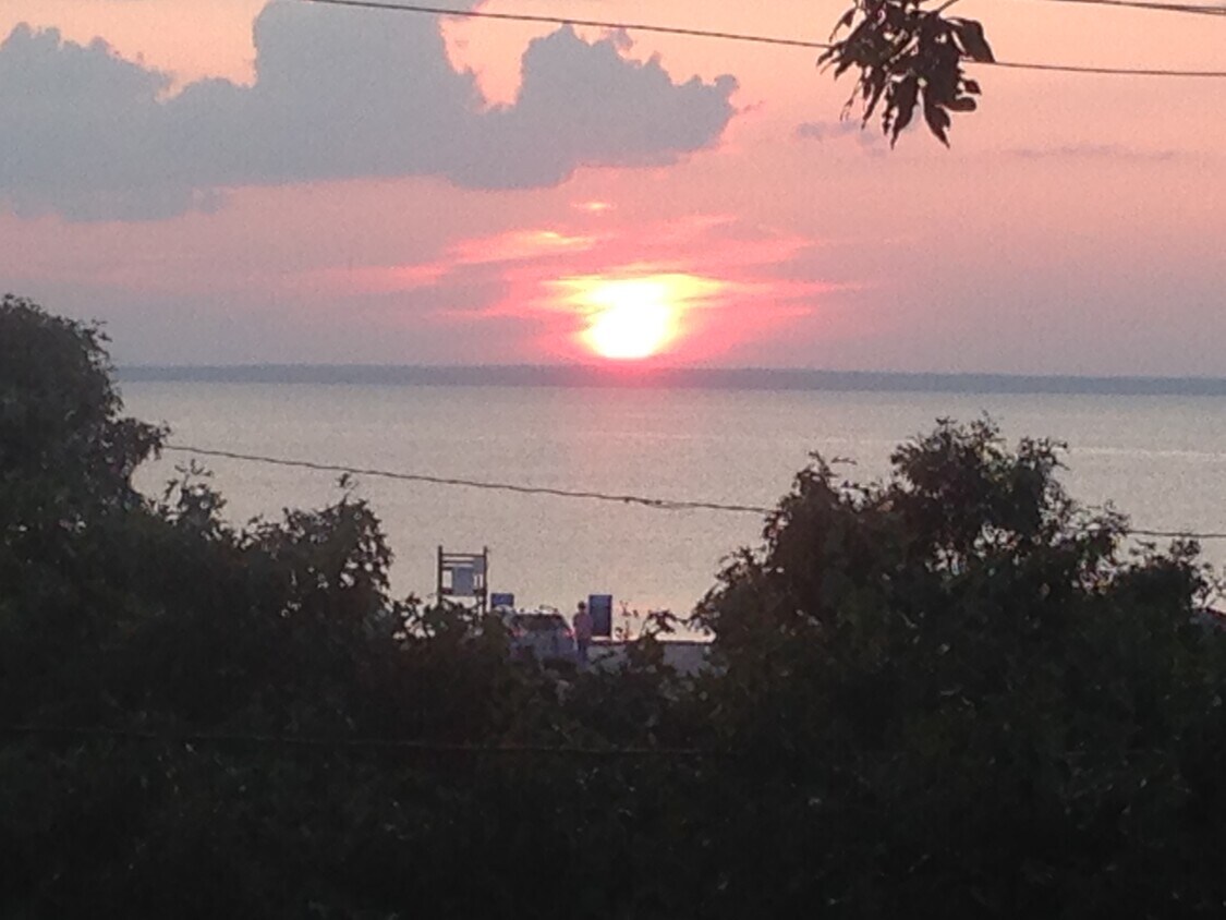 view from deck - 24 Jae Rd