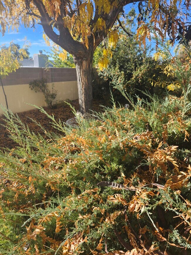 Foto del edificio - 8805 Yankee Dr NE