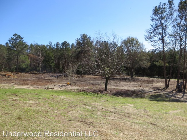 Building Photo - 3 br, 2 bath House - 38010 Grays Airport Rd.