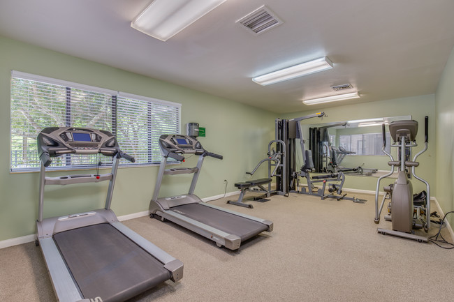 Fitness Center - Cypress Cove