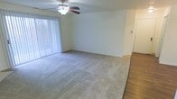 This single-floor residence offers a straightforward and functional layout designed for comfortable everyday living. The main living area is a highlight of the space, featuring plush wall-to-wall carpeting that adds warmth and comfort underfoot. A ceiling fan with an integrated light fixture is centrally mounted overhead, providing both air circulation and ambient lighting throughout the room. A large sliding glass door dressed with vertical blinds spans one wall, allowing generous natural light to filter into the space while also offering the option for privacy. The transition from the carpeted living area to hard surface wood-look flooring can be seen near the entryway, adding a practical and visually contrasting element to the overall design. The walls are finished in a clean, neutral tone that creates a bright and welcoming atmosphere. The open layout of the living area provides flexibility for a variety of furniture arrangements, making it an adaptable space suited to different lifestyle needs. Overall, the residence presents a clean, move-in-ready environment with classic residential finishes throughout.