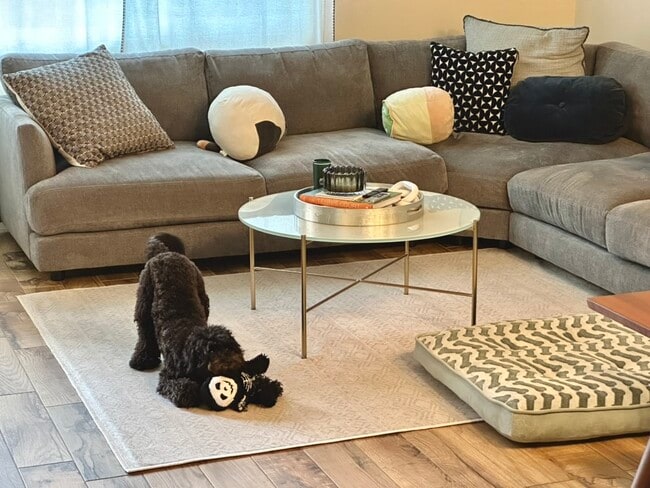 Foto del edificio - 537 N Adams St