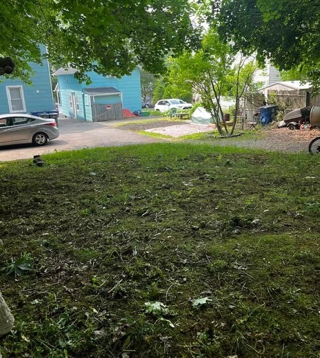 Foto del edificio - 1095 Townsend Ave