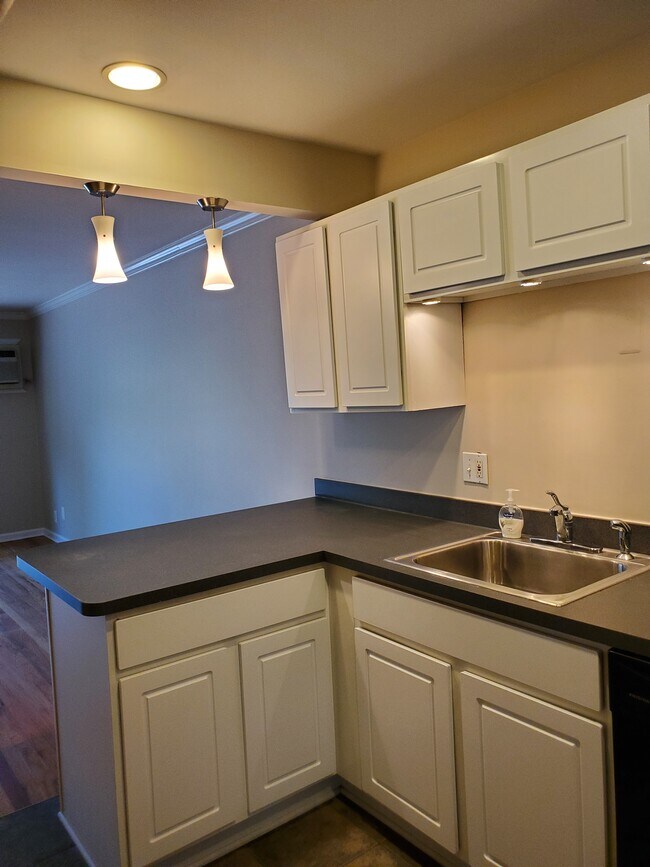 4715 Coolidge Hwy Unit 6, Royal Oak, MI 48073 Condo for Rent in
