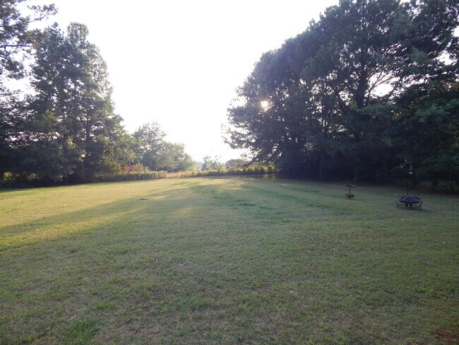 Back yard - 28239 Shannon Dr