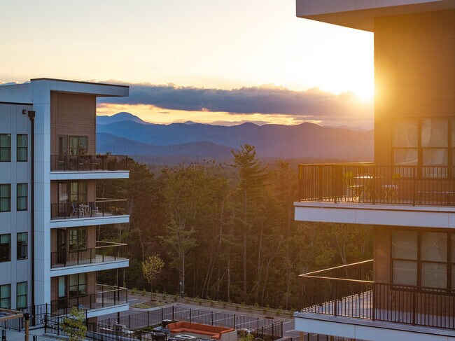 Foto del edificio - Ellison at the Preserve