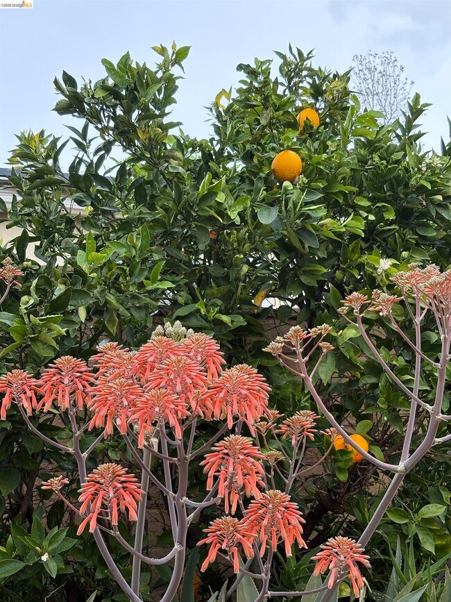 Foto del edificio - 1101 Hourglass Pl