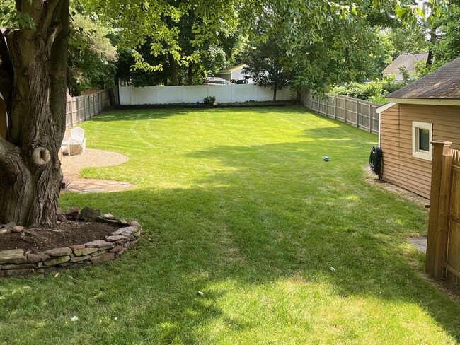 backyard - 25 Mapleshade Ave