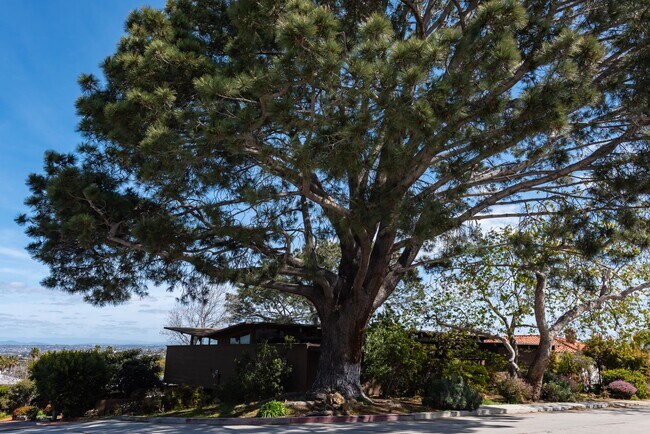Building Photo - Gorgeous Historic Point Loma Harbor View H...