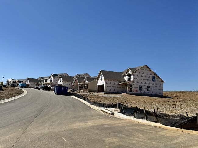 Building Photo - 8196 Driftwood Loop