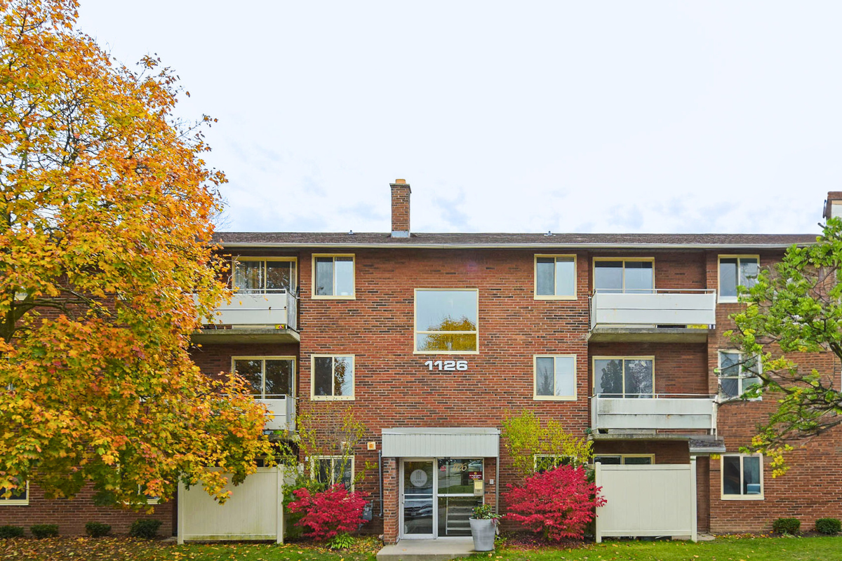 Primary Photo - Royal York Road Apartments