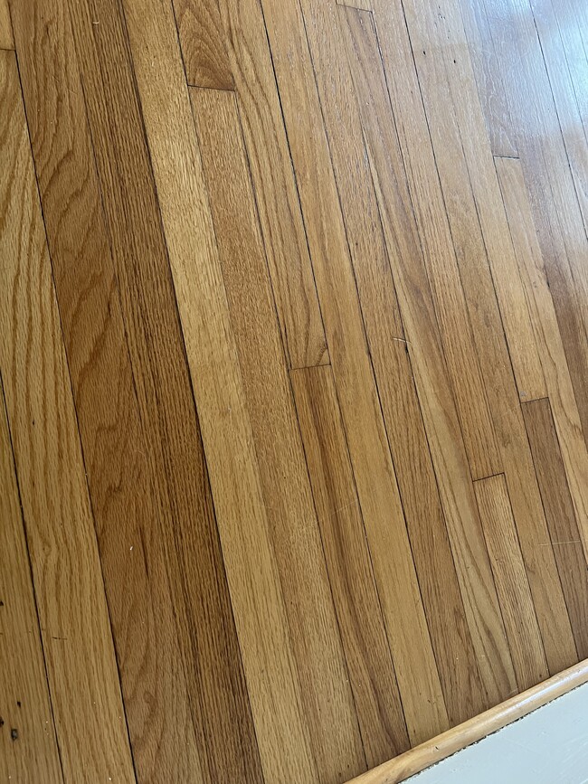 Honey oak hardwood floors - 2904 Espy Ave