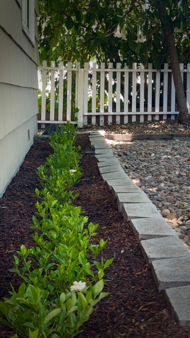 La propiedad recibe a los visitantes con el aroma de gardenias recién plantadas. - 2403 Mira Vista Dr