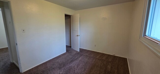 Building Photo - 250 Cribbon Ave