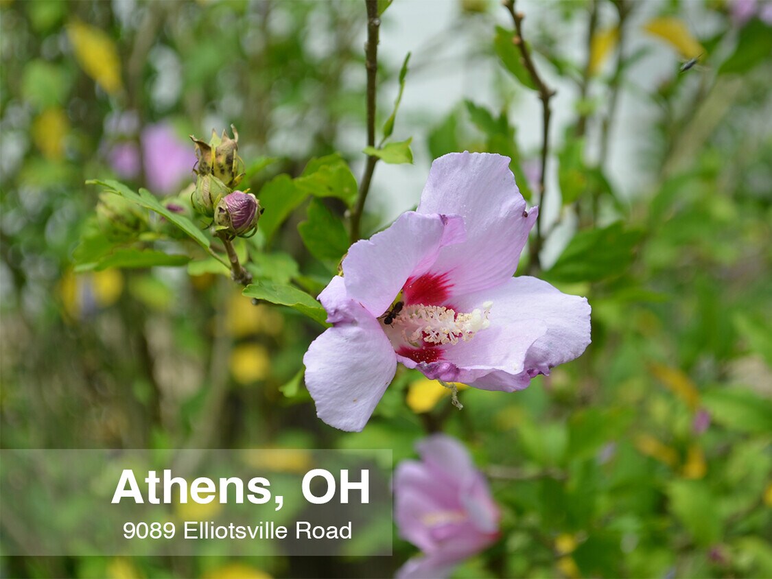 Foto principal - 9089 Elliotsville Rd
