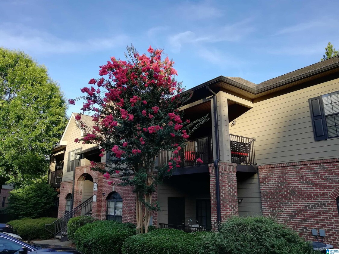 Primary Photo - 219 Sterling Oaks Dr