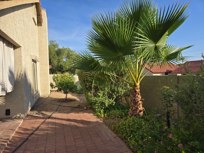 Building Photo - 11246 E Poinsettia Dr
