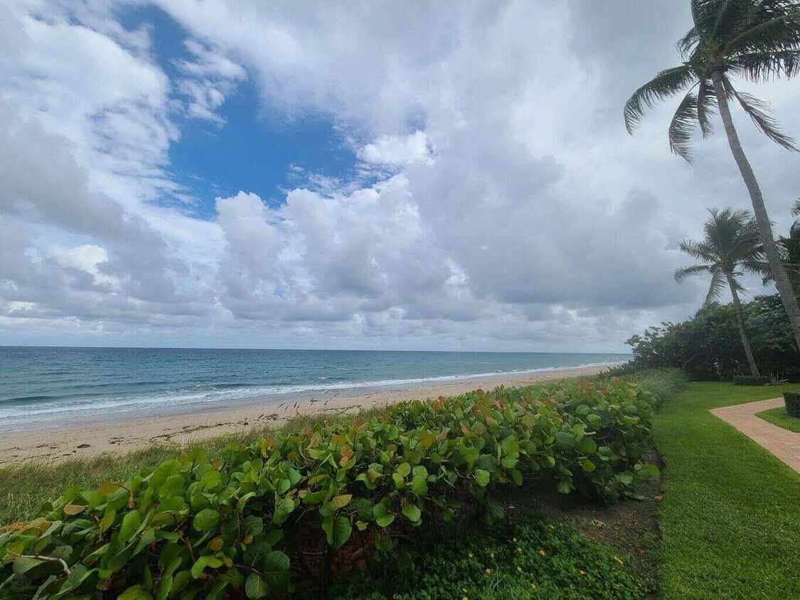 Primary Photo - 3851 N Ocean Blvd