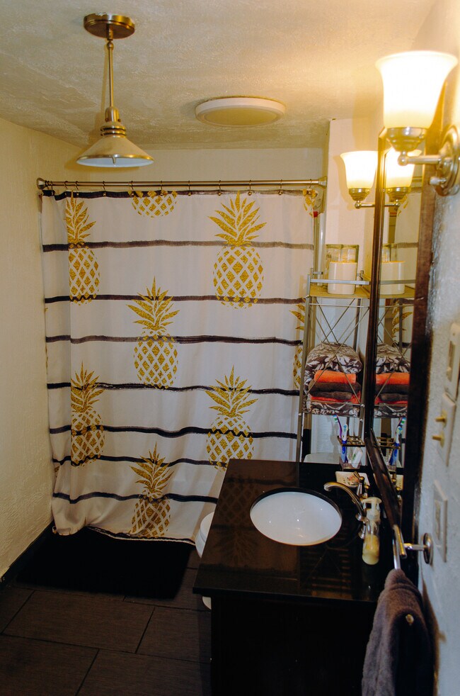 bathroom - 102 Stewart Ave