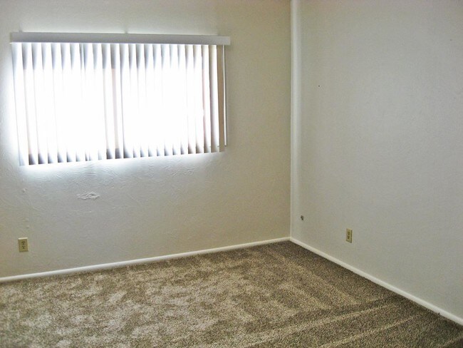 Building Photo - 1129 Tamarix Dr.