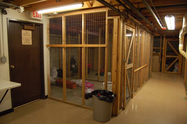 STORAGE - Apple Lane