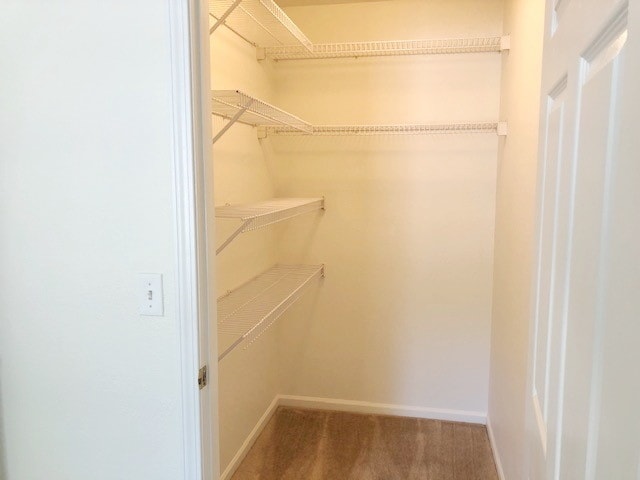 2 bedroom walk in closet - Harper Square Apartments