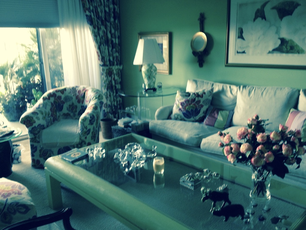 Designer Luxury Living - 3800 Washington Rd
