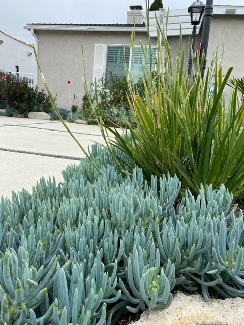 Foto del edificio - 2653 Stoner Ave