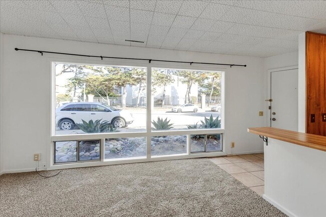 Foto del edificio - 1 Bedroom Apartment Across from NPS!