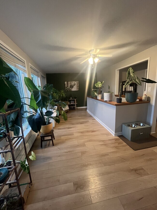 Photo du bâtiment - 21 Harris St