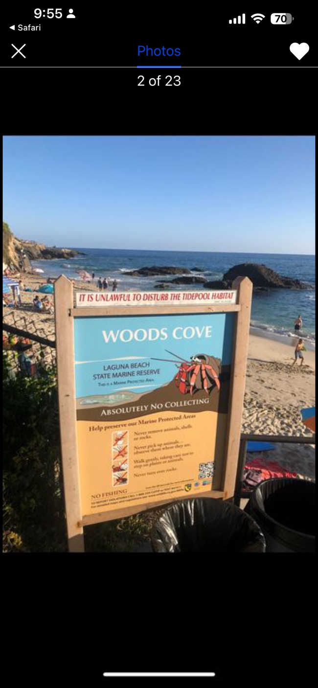 Building Photo - 2009 Glenneyre St