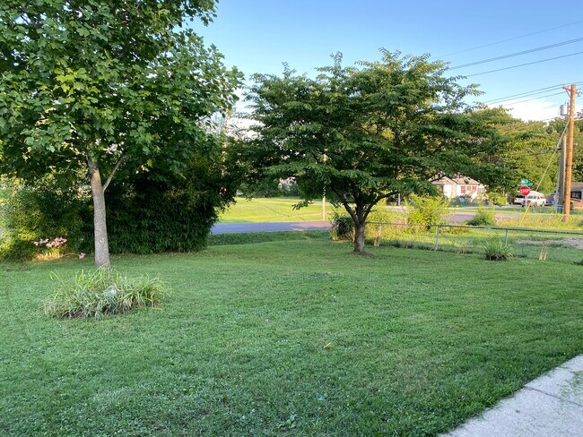 Shaded, private front yard - 547 S Hilton Ave