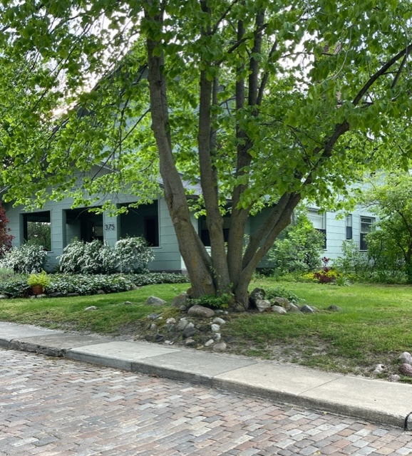 Primary Photo - 375 Ridgeway St